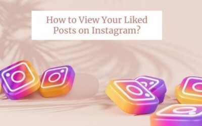 How to View Your Liked Posts on Instagram?