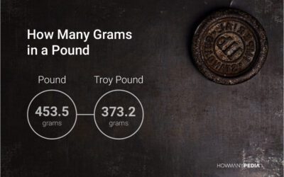 How Many Grams in a Pound?