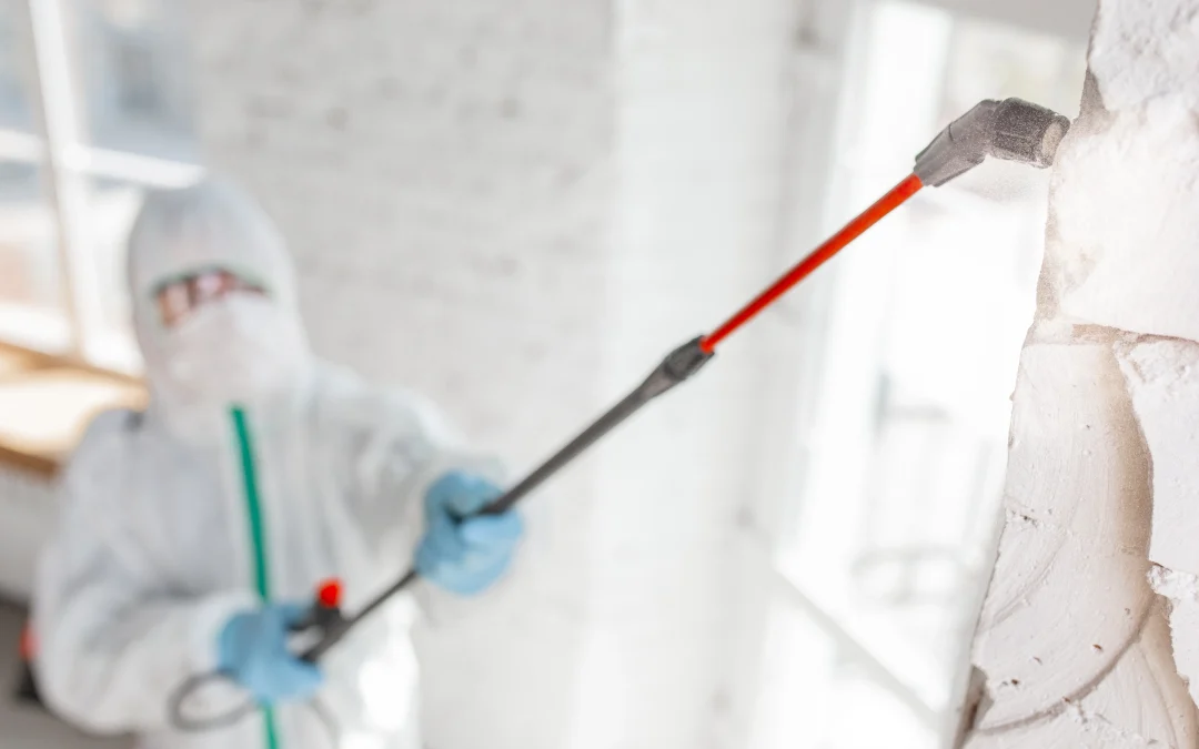 How Do You Remove Mold From Your Home?