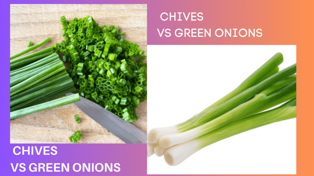 Chives and Green Onions