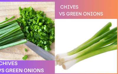 Chives vs Green Onions: Understanding the Differences and Similarities