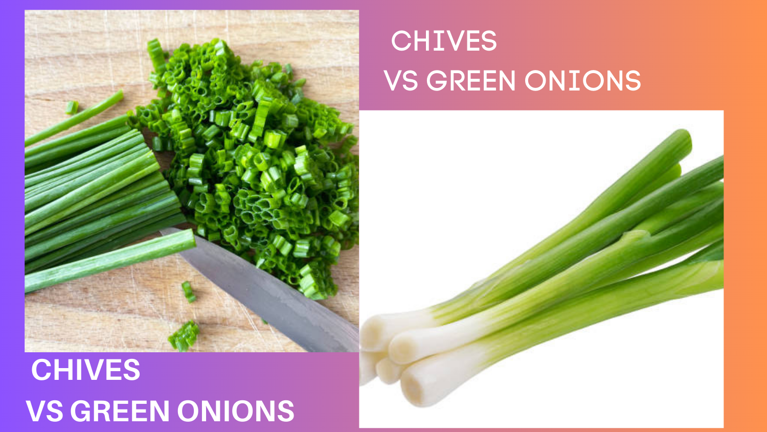 Chives Vs Green Onions: Understanding The Differences And Similarities